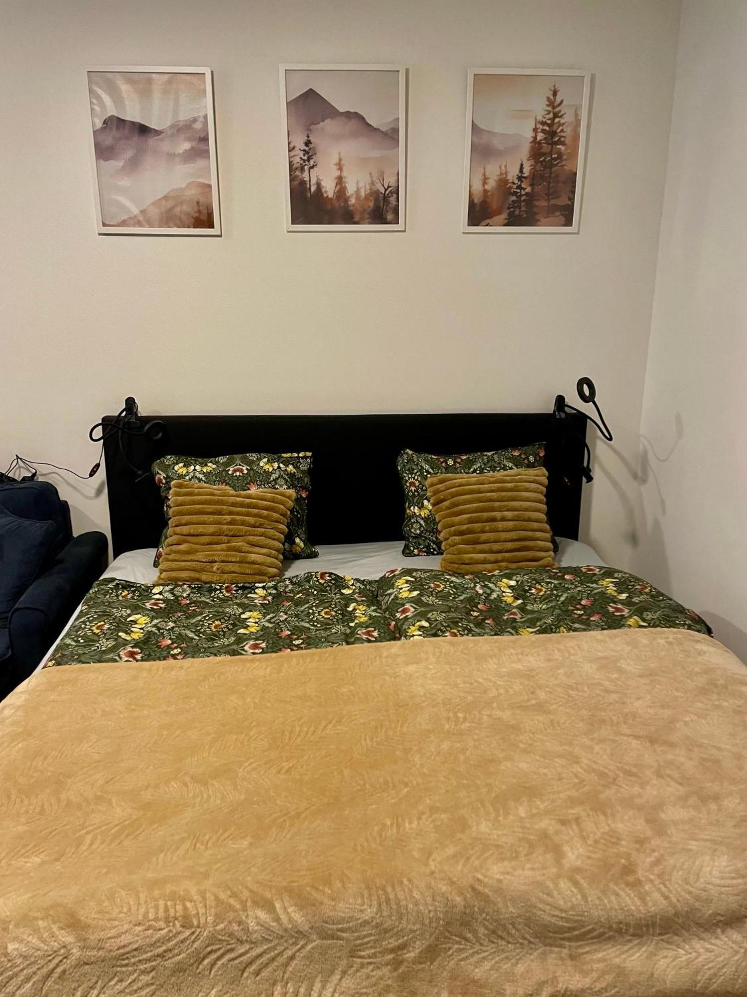 Apartment Navi- Modern Studio In Krkonose Foothills Stare Buky Esterno foto
